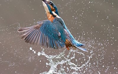 Was eine gute Bioseife ausmacht